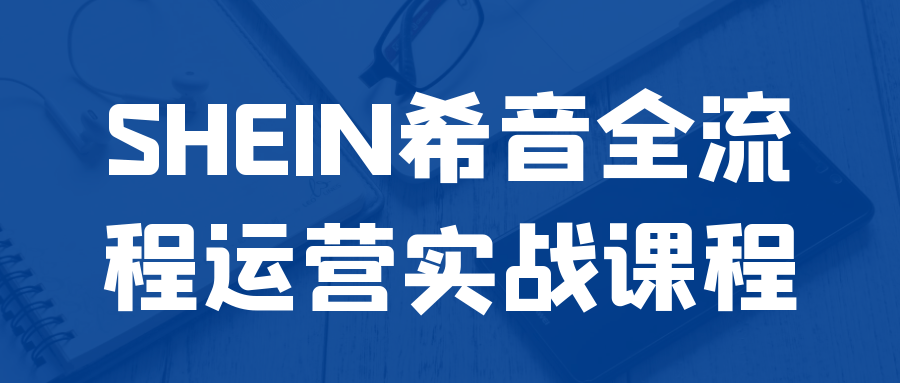 SHEIN希音全流程运营实战课程-搞砸网络——多一条搞钱的路