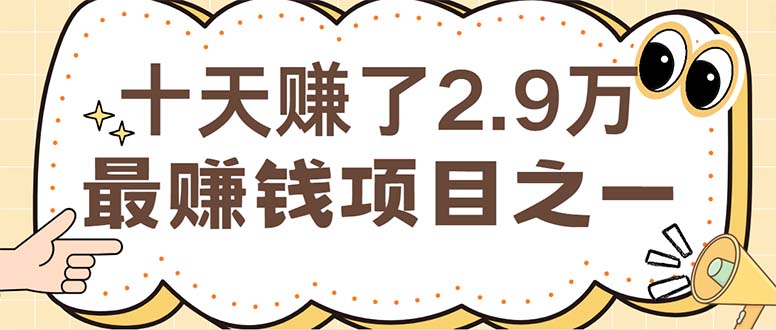 （12491期）闲鱼小红书赚钱项目之一，轻松月入6万+项目-搞砸网络——教你躺赚