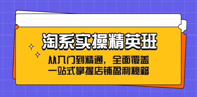 （12276期）淘系实操精英班：从入门到精通，全面覆盖，一站式掌握店铺盈利秘籍-搞砸网络——教你躺赚