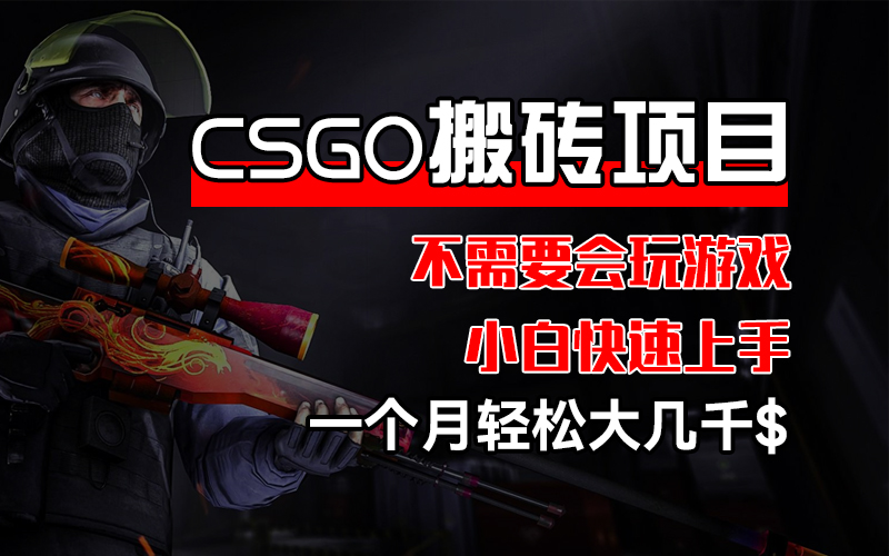 （12332期）CSGO 装备搬砖项目，操作简单，不需要会玩游戏，小白也能快速上手，一…-搞砸网络——教你躺赚