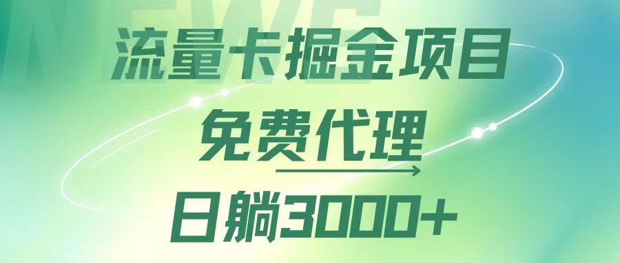 （12321期）流量卡掘金代理，日躺赚3000+，变现暴力，多种推广途径-搞砸网络——教你躺赚