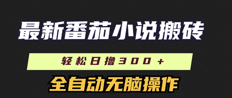 （11904期）最新番茄小说搬砖，日撸300＋！全自动操作，可矩阵放大-搞砸网络——教你躺赚