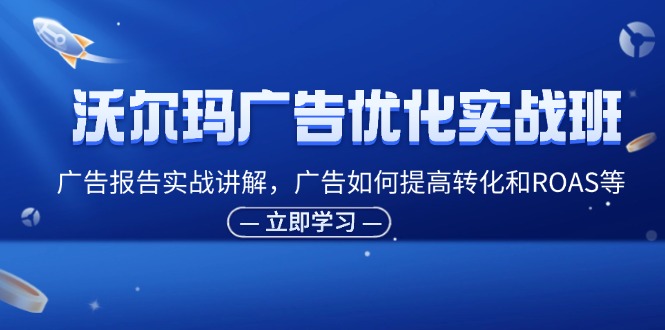 （11847期）沃尔玛广告优化实战班，广告报告实战讲解，广告如何提高转化和ROAS等-搞砸网络——教你躺赚