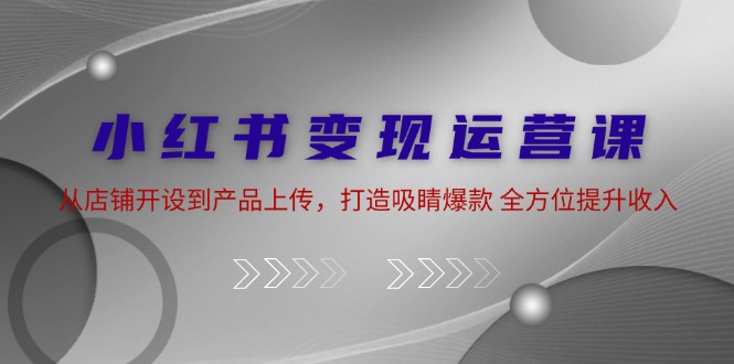 （12520期）小红书变现运营课：从店铺开设到产品上传，打造吸睛爆款 全方位提升收入-搞砸网络——教你躺赚