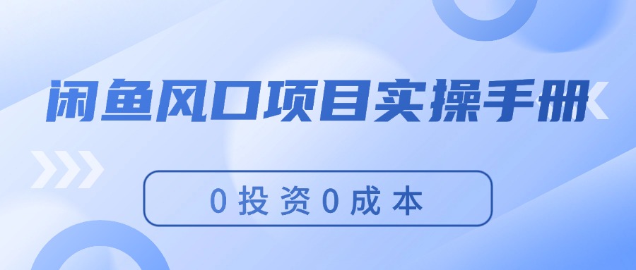 （11923期）闲鱼风口项目实操手册，0投资0成本，让你做到，月入过万，新手可做-搞砸网络——教你躺赚