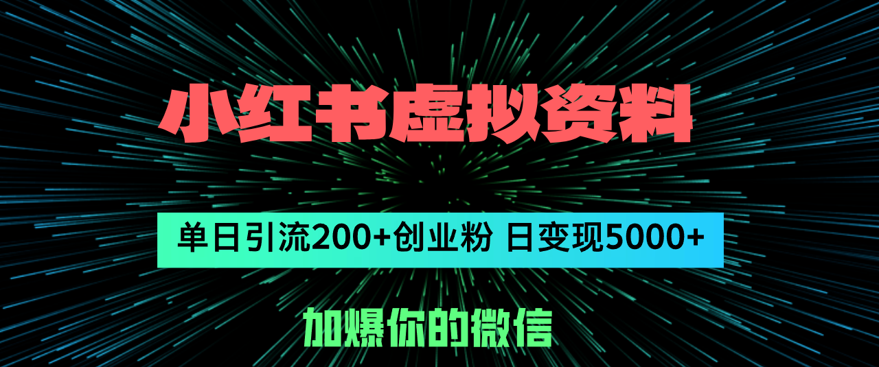 （12164期）小红书虚拟资料日引流200+创业粉，单日变现5000+-搞砸网络——教你躺赚