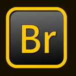 Br解压密码-搞砸网络-www.gaoza.cn