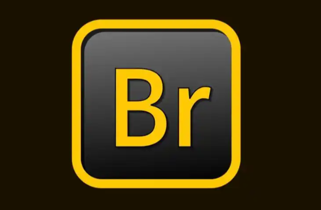 Br解压密码-搞砸网络-www.gaoza.cn