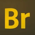 Br解压密码-搞砸网络-www.gaoza.cn