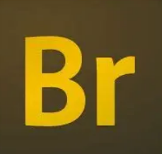 Br解压密码-搞砸网络-www.gaoza.cn