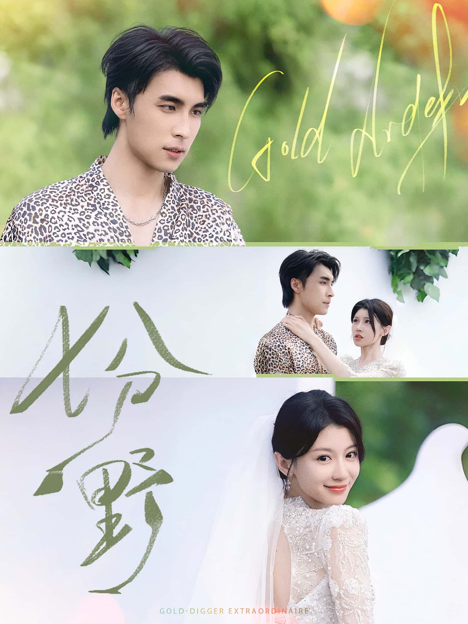七分野-搞砸网络-www.gaoza.cn