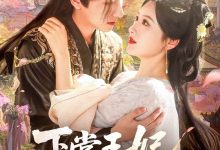 下堂王妃逆袭记-搞砸网络-www.gaoza.cn