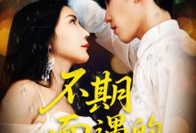 不期而遇的33天-搞砸网络-www.gaoza.cn