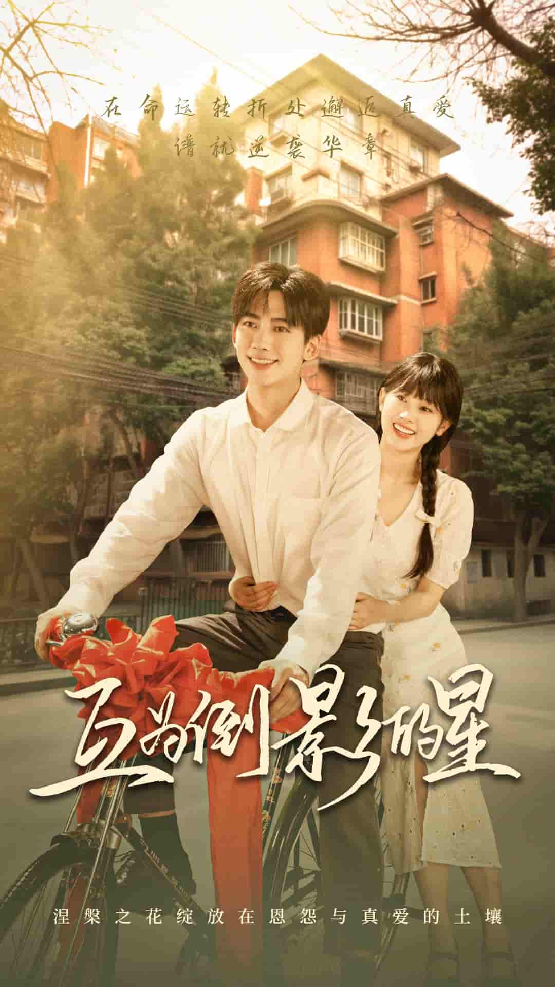 互为倒影的星-搞砸网络-www.gaoza.cn