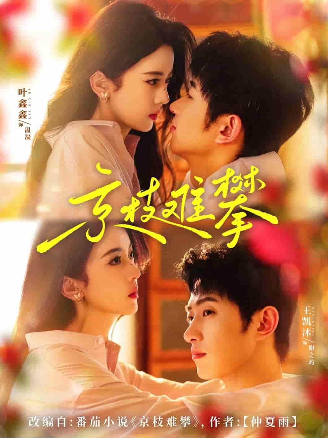 京枝难攀-搞砸网络-www.gaoza.cn