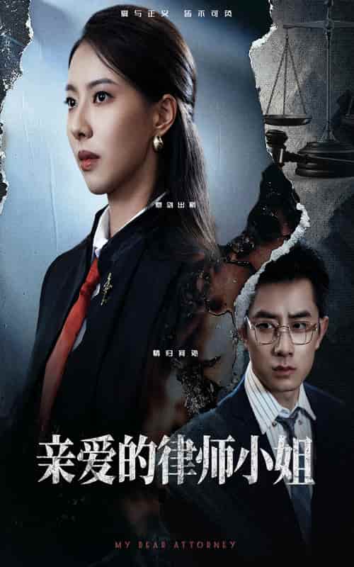 亲爱的律师小姐-搞砸网络-www.gaoza.cn