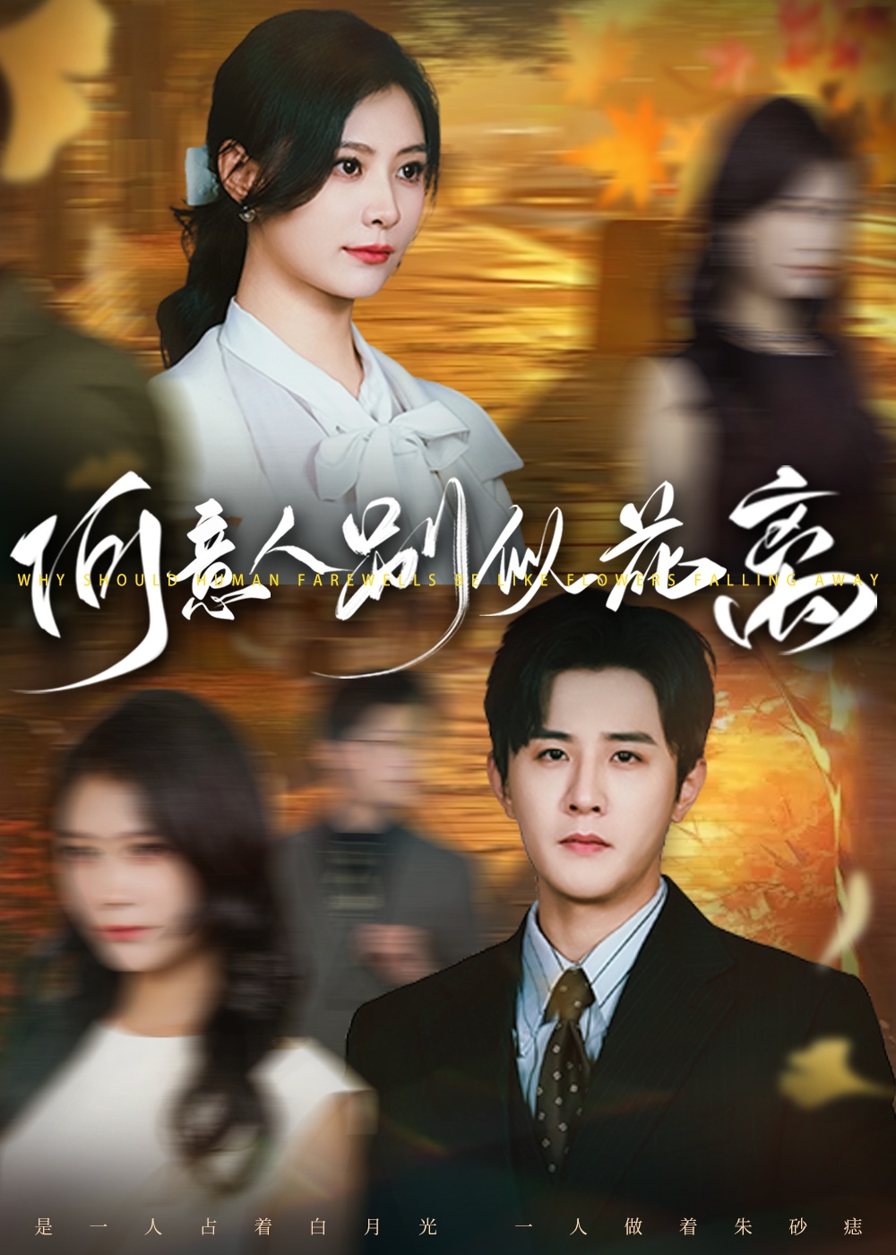 何意人别似花离-搞砸网络-www.gaoza.cn