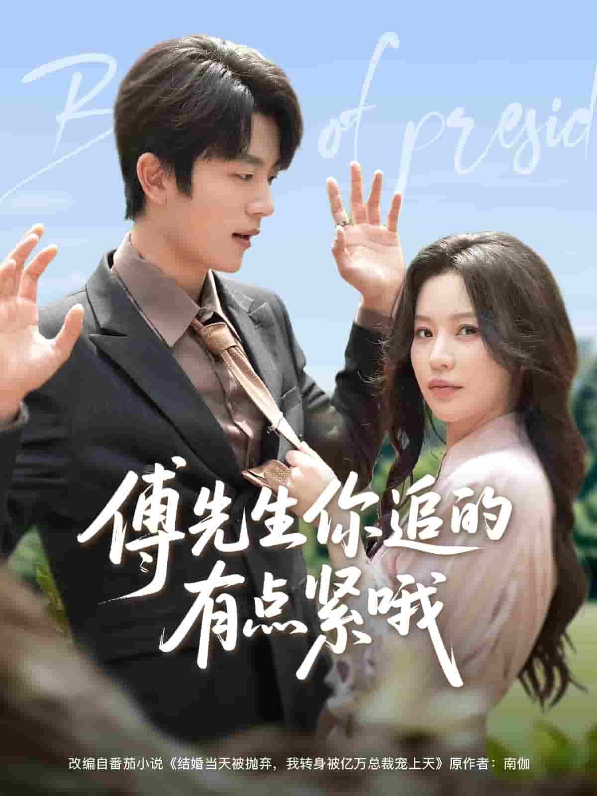 傅先生你追的有点紧哦-搞砸网络-www.gaoza.cn
