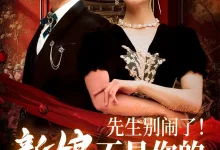 先生别闹了新娘不是你的-搞砸网络-www.gaoza.cn