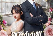别惹小小姐她爹地是女儿奴-搞砸网络-www.gaoza.cn