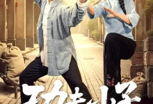 功夫小子闯佛山-搞砸网络-www.gaoza.cn