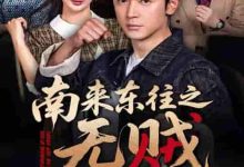 南来东往之无贼-搞砸网络-www.gaoza.cn
