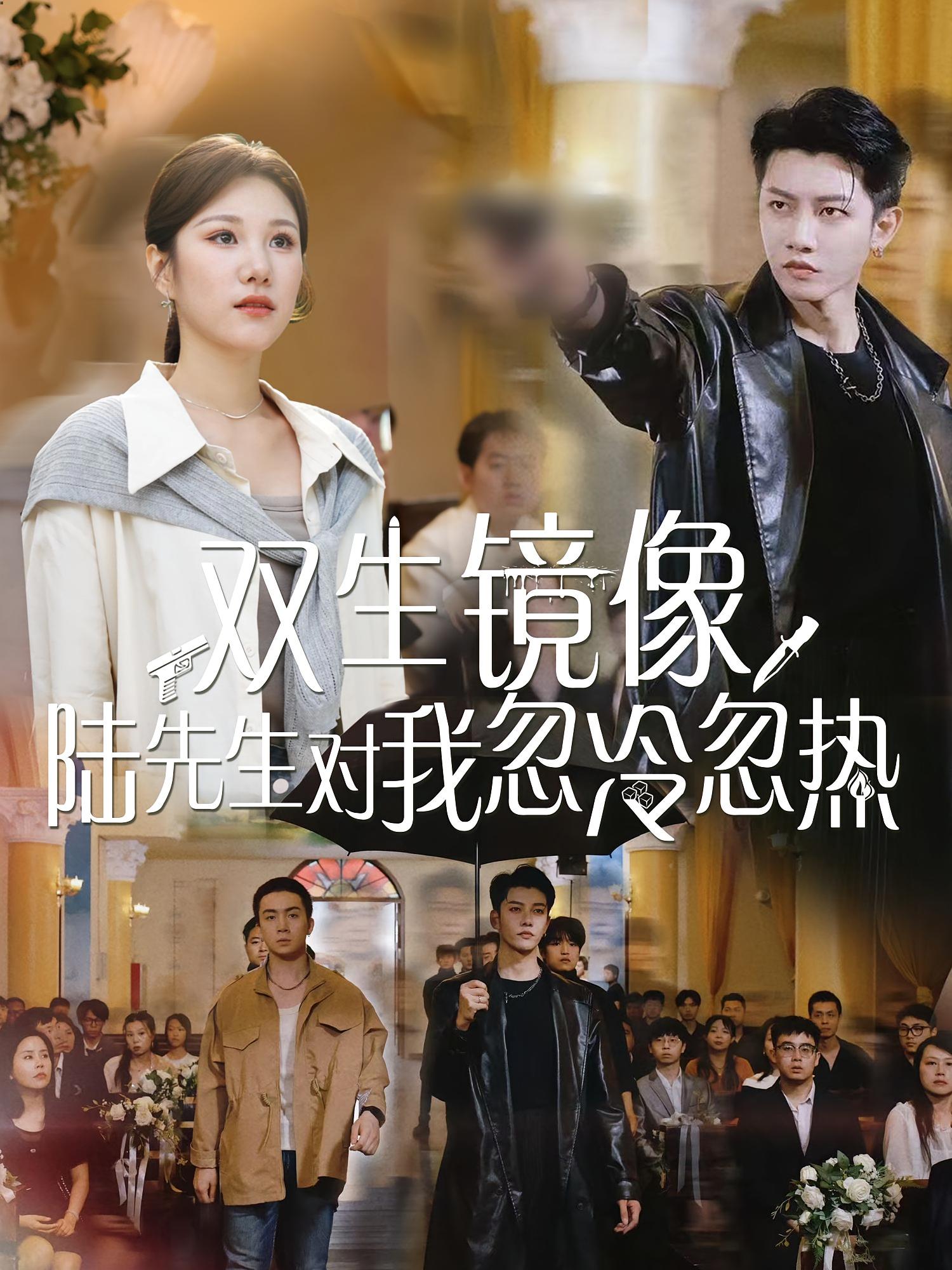 双生镜像陆先生对我忽冷忽热-搞砸网络-www.gaoza.cn