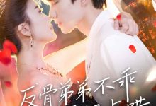 反骨弟弟不乖要轻点哄-搞砸网络-www.gaoza.cn
