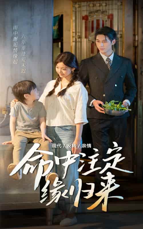 命中注定缘归来-搞砸网络-www.gaoza.cn