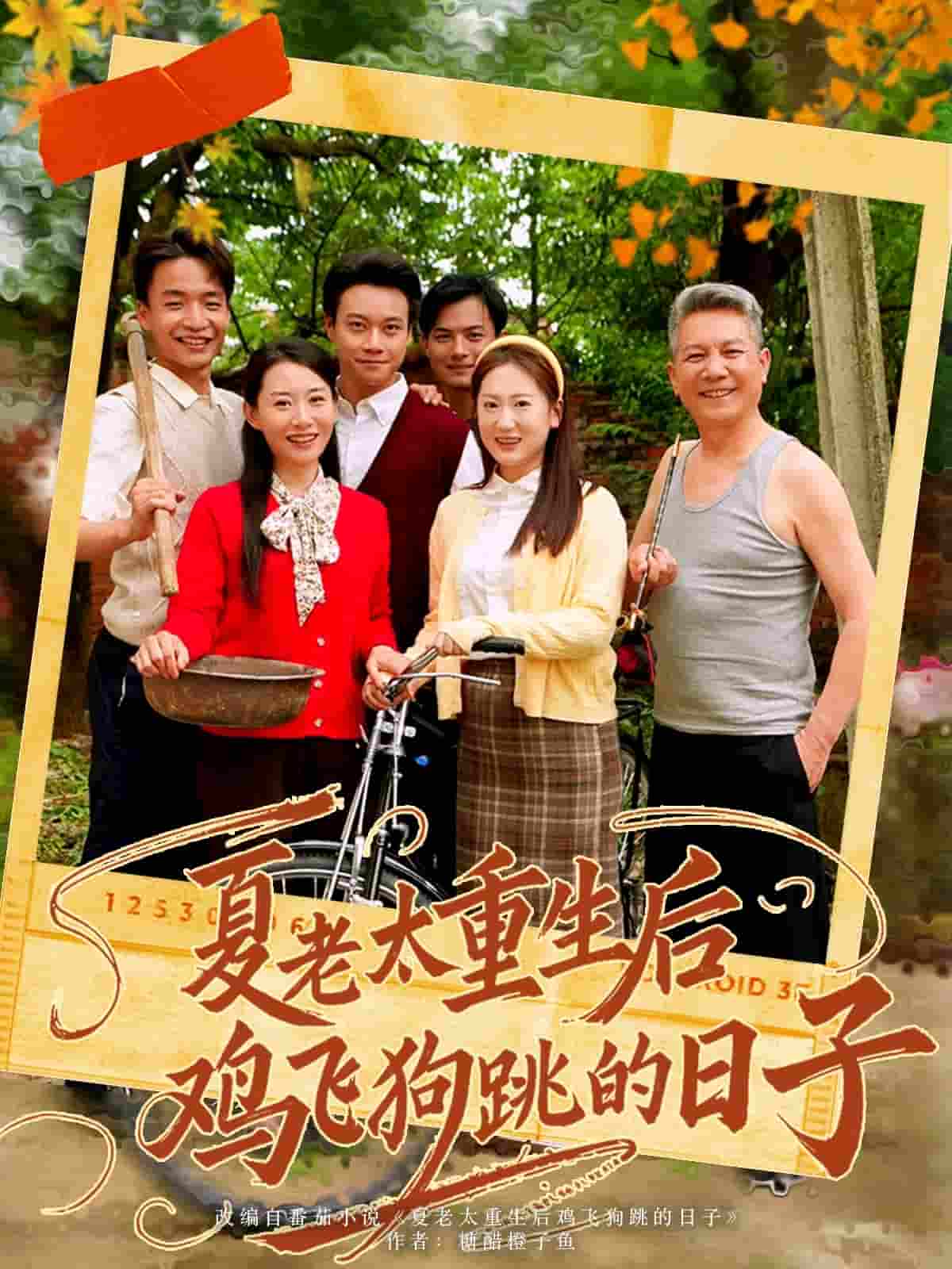 夏老太重生后鸡飞狗跳的日子-搞砸网络-www.gaoza.cn