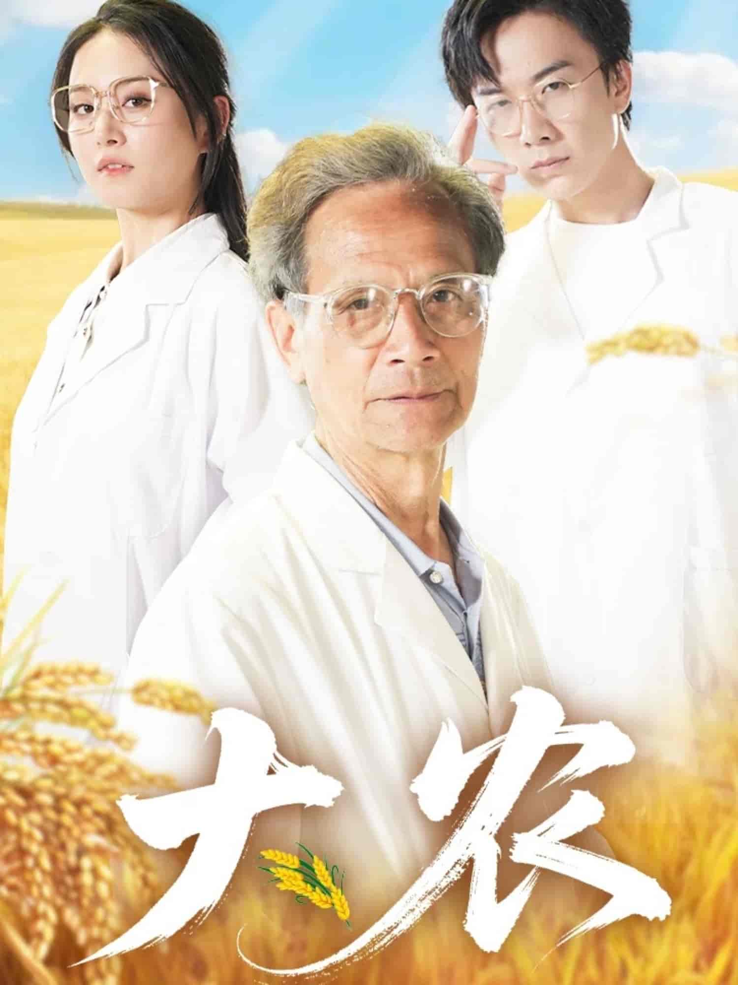 大农-搞砸网络-www.gaoza.cn