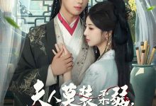 夫人莫装柔弱为夫看见你打人了-搞砸网络-www.gaoza.cn