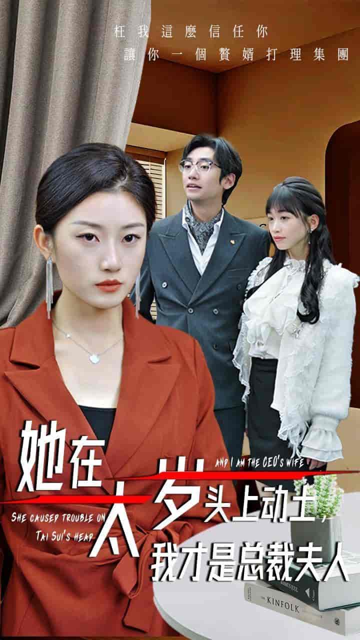 她在太岁头上动土，我才是总裁夫人-搞砸网络-www.gaoza.cn
