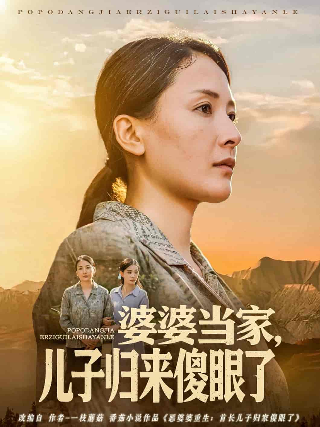 婆婆当家儿子归来傻眼了-搞砸网络-www.gaoza.cn