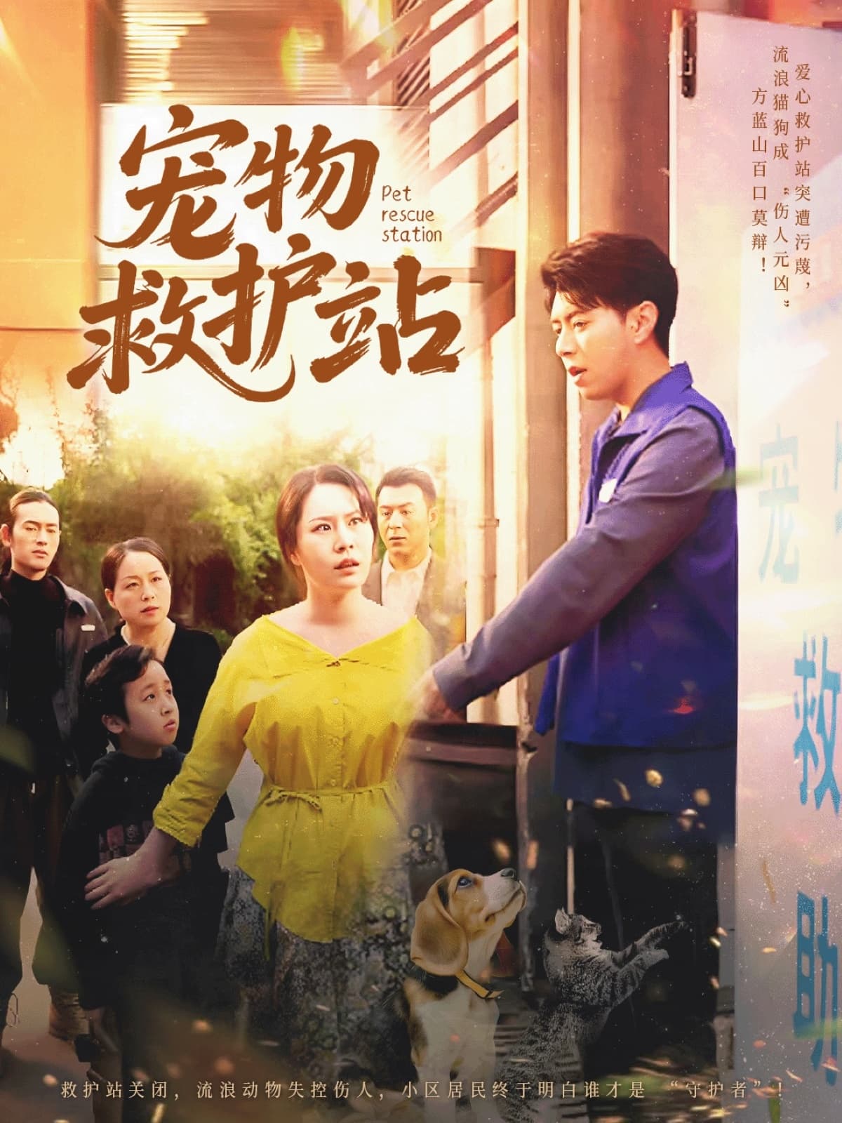 宠物救护站-搞砸网络-www.gaoza.cn