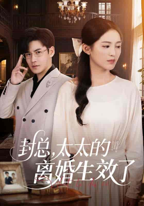 封总，太太的离婚生效了-搞砸网络-www.gaoza.cn