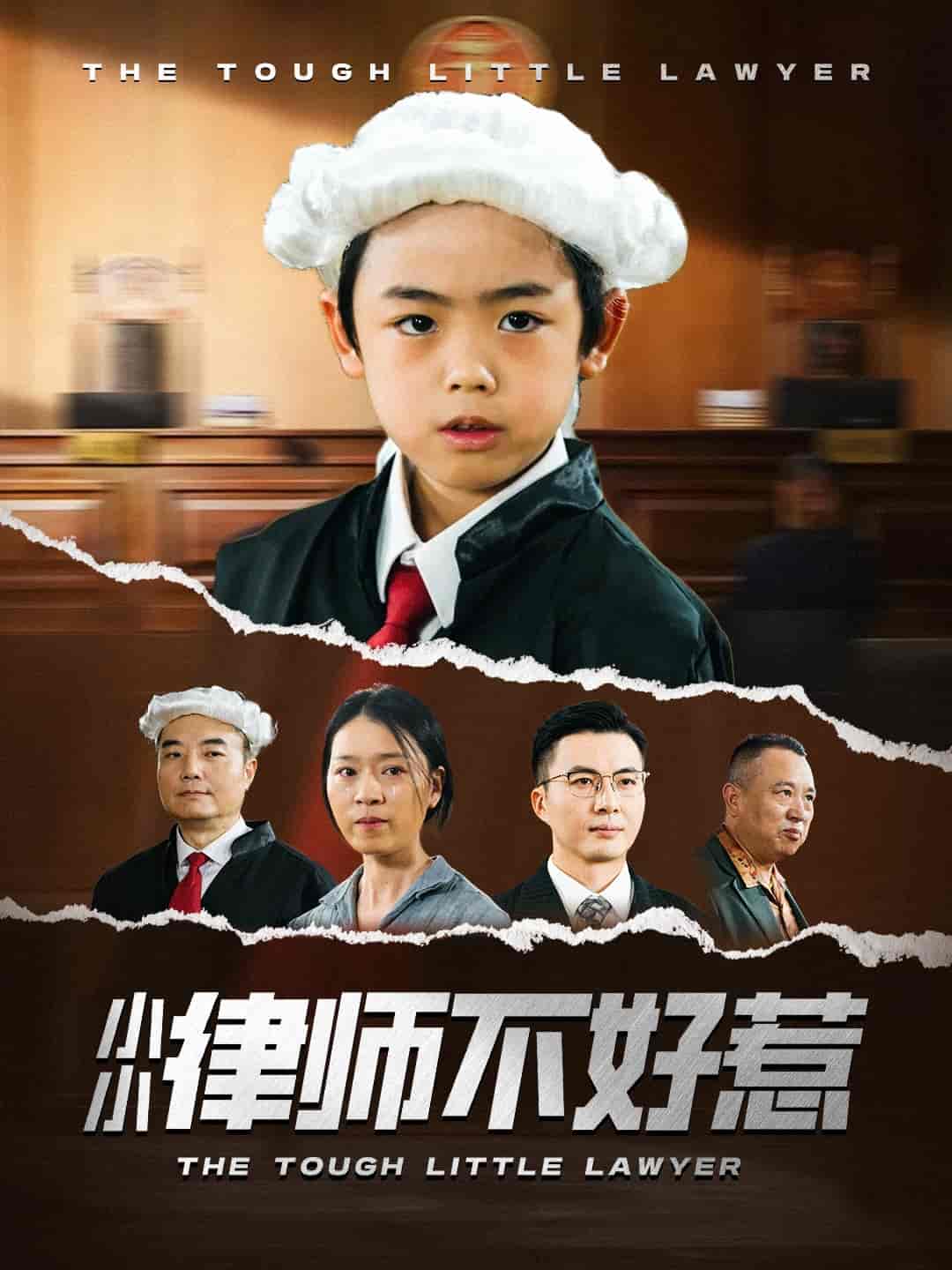 小小律师不好惹-搞砸网络-www.gaoza.cn