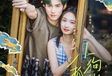 小狗抓蝴蝶-搞砸网络-www.gaoza.cn