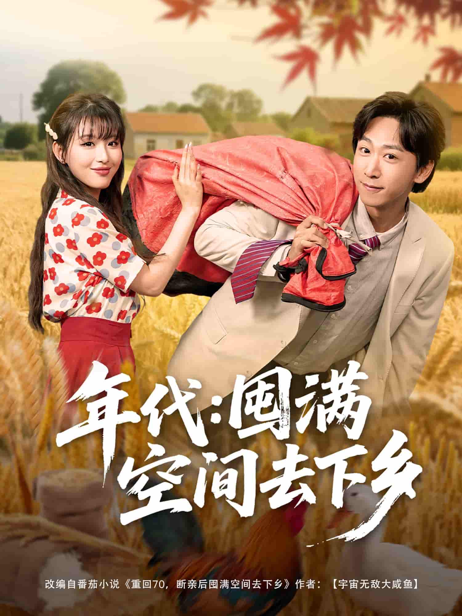 年代囤满空间去下乡-搞砸网络-www.gaoza.cn