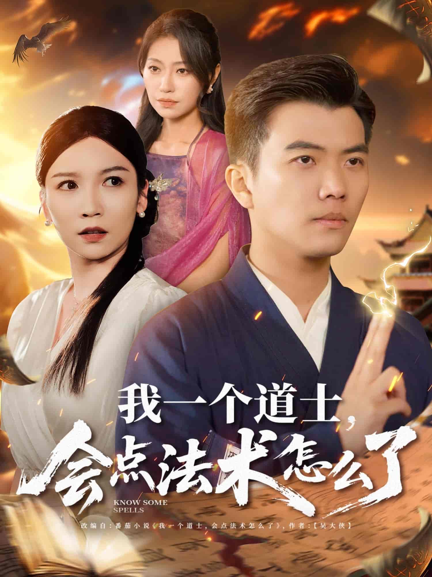 我一个道士，会点法术怎么了-搞砸网络-www.gaoza.cn