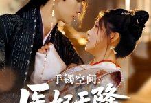 手镯空间:医妃天降引太子破戒-搞砸网络-www.gaoza.cn