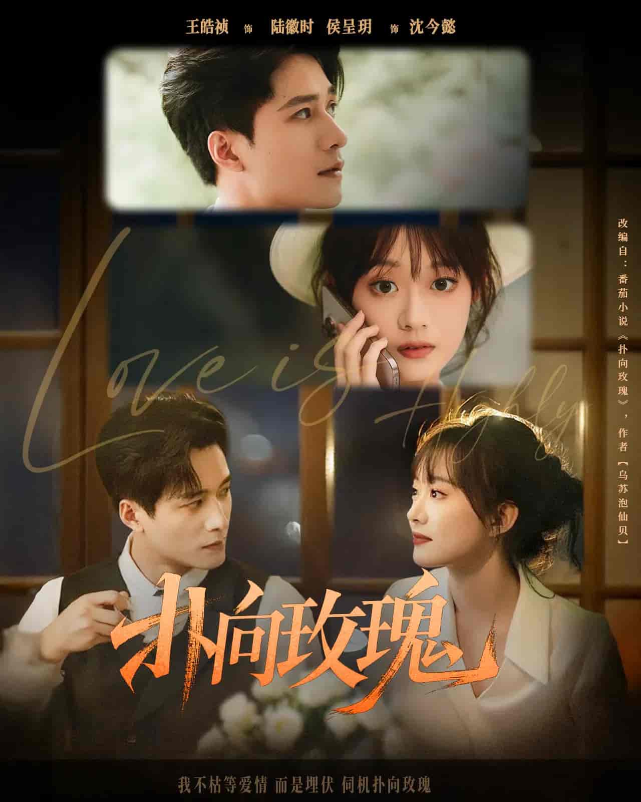扑向玫瑰-搞砸网络-www.gaoza.cn