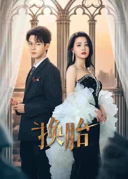 换胎-搞砸网络-www.gaoza.cn