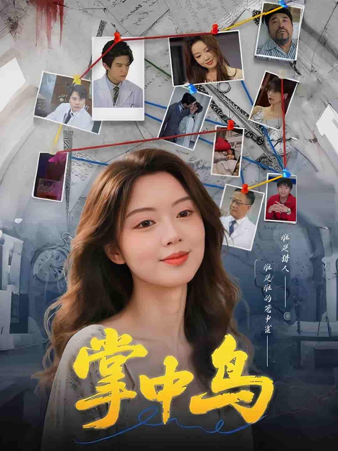 掌中鸟-搞砸网络-www.gaoza.cn