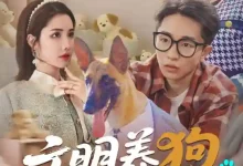 文明养狗人人有责-搞砸网络-www.gaoza.cn