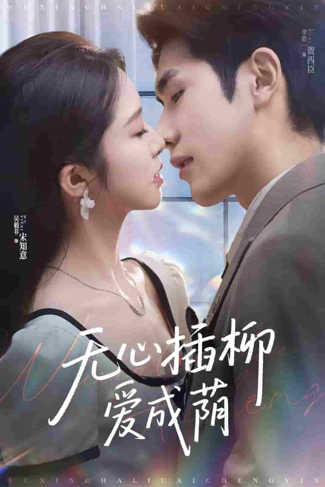 无心插柳爱成荫-搞砸网络-www.gaoza.cn