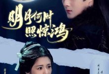 明月何时照惊鸿-搞砸网络-www.gaoza.cn