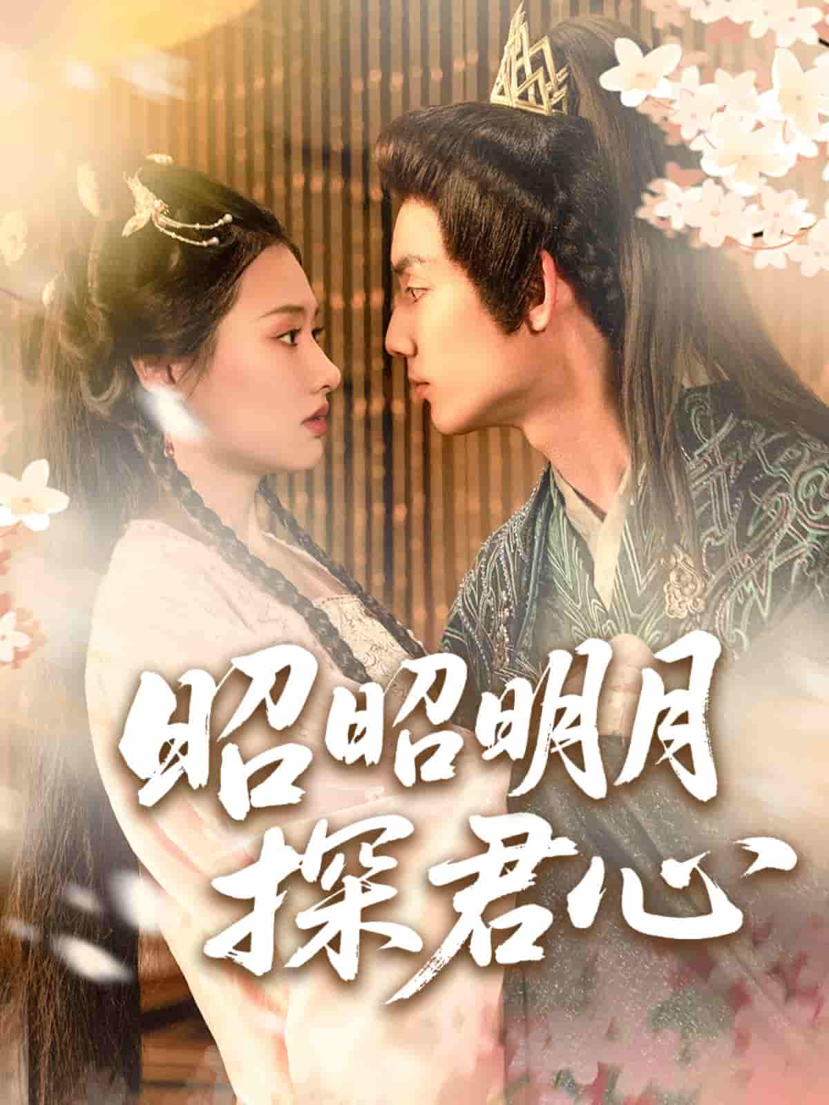 昭昭明月探君心-搞砸网络-www.gaoza.cn