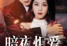 暗夜炽爱-搞砸网络-www.gaoza.cn
