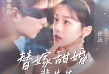 替嫁甜婚裴先生哄我入怀-搞砸网络-www.gaoza.cn